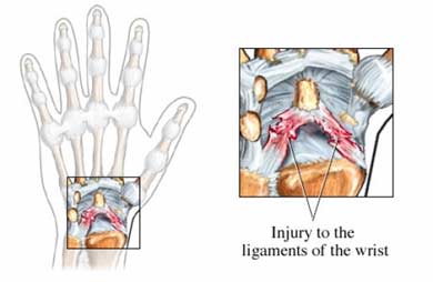 Nucleus factsheet image