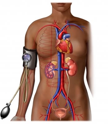 Woman with BP