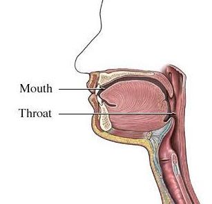 Dry Mouth and Throat