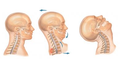 Nucleus factsheet image